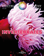 (image for) INVERTEBRATES - Spectrum of Homeopathy 03/2021