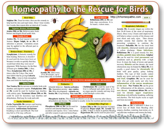 Homeopathy to the Rescue for Birds chart/poster