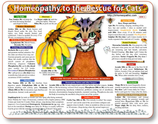 Homeopathy to the Rescue for Cats chart/poster