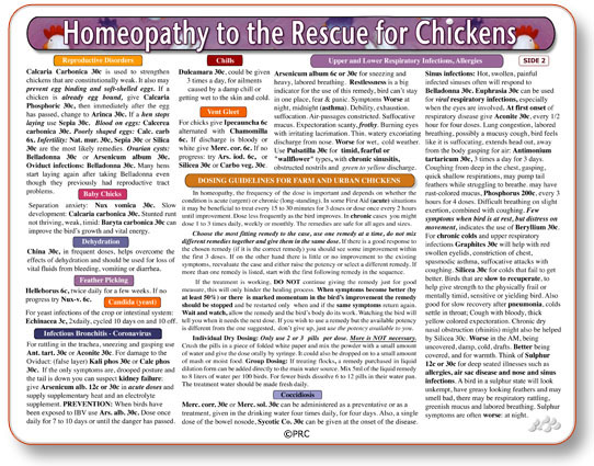Modal Additional Images for Homeopathy for Chickens chart/poster