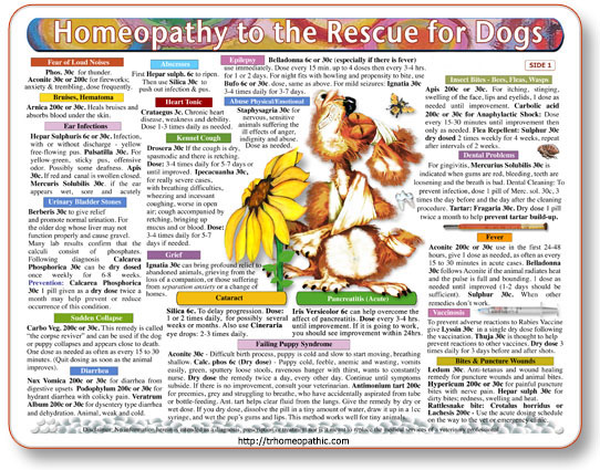 (image for) Homeopathy to the Rescue for Dogs chart/poster