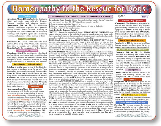 Modal Additional Images for Homeopathy to the Rescue for Dogs chart/poster