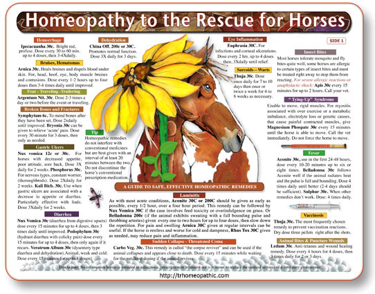Homeopathy to the Rescue for Horses chart/poster