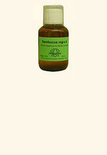Kalium phosphoricum - Homeoplant (image for) Kalium phosphoricum - Homeoplant