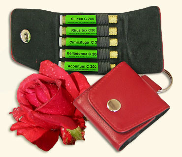 MAUTE Rose Kit 5 on Red Leather Key Ring